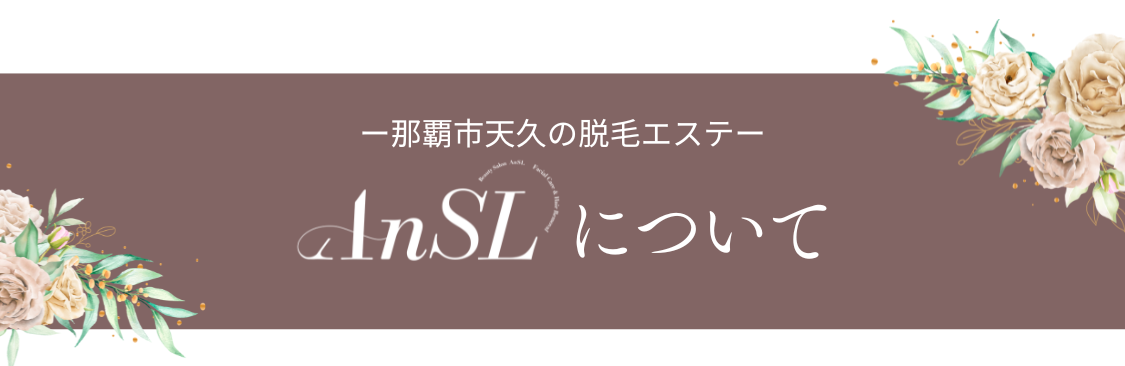 AnSLについて